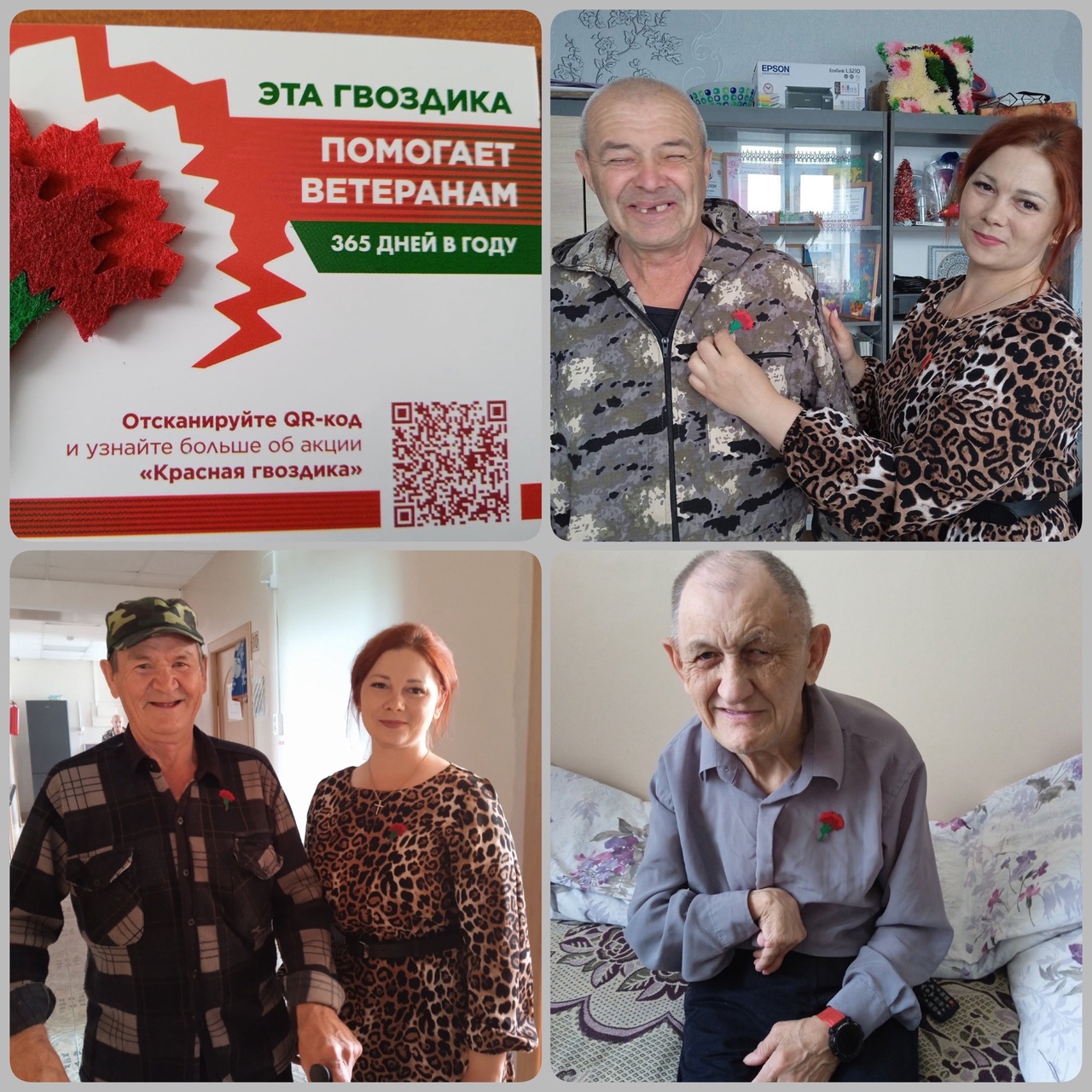 Красная гвоздика